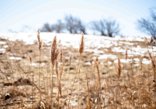 Exploring Environmental Associations in Buffalo, NY